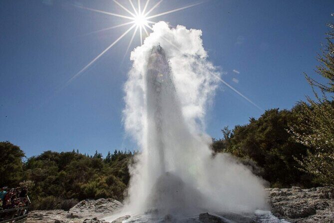 Private Tour [2 Days]: Auckland to Waitomo Caves, Rotorua, Te Puia & Wai-O-Tapu - Where the money goes: transport, admissions, hotel, and meals
