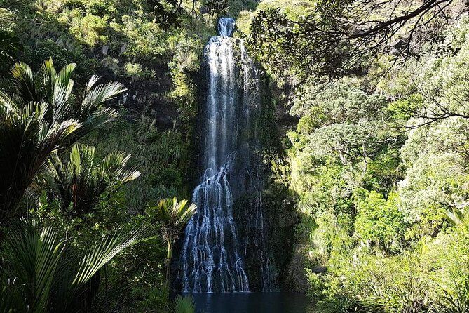 Private Tour: Auckland City and Countryside Tour - Mission Bay, Auckland Domain, and a Waterfall Moment