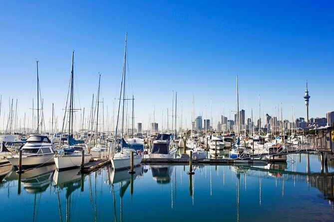 Private Tour: Auckland City and Countryside Tour - Guides Make the Difference: Rubin, Tui, Trevor, Mabel, and More