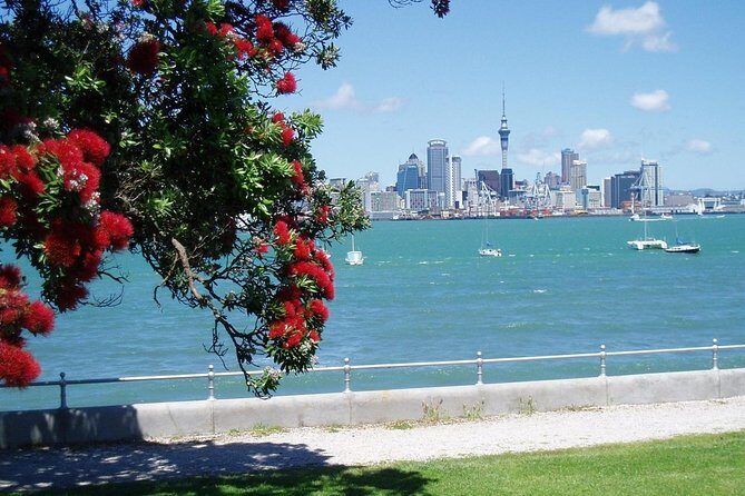 Private Tour: Auckland City and Countryside Tour - Price and Value: Is $277.40 Worth It?