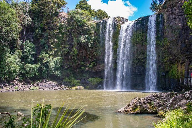 Private Tour: Bay of Islands Day Trip from Auckland - Paihia Harbour and the Hole in the Rock decision: plan it, price it, enjoy it