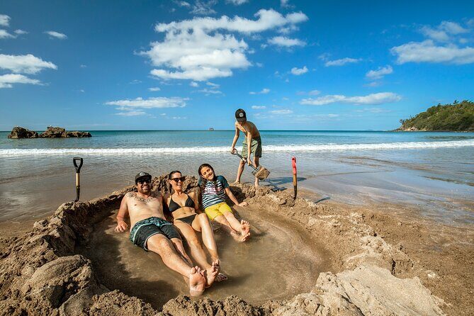 Private Tour - Coromandel Beach, Caves & Forest - Key points to know before you go
