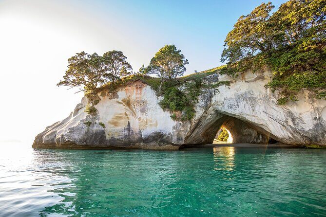 Private Tour - Coromandel Beach, Caves & Forest - A private day that stitches together sea caves, warm sand, and kauri bush