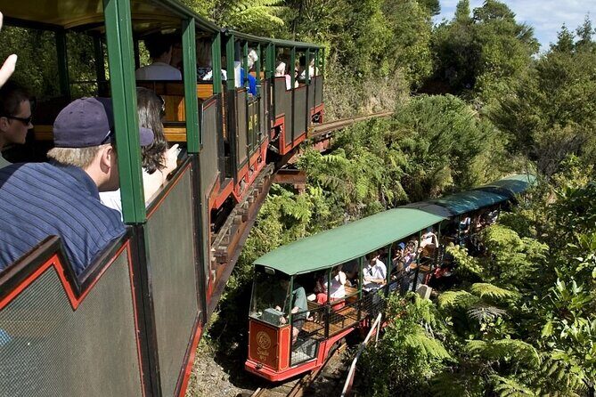 Private Tour - Coromandel Beach, Caves & Forest - Cathedral Cove by boat: sea caves and marine life odds
