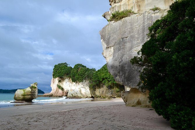 Private Tour - Coromandel Beach, Caves & Forest - Hot Water Beach: your own sand spa, timed to the tide