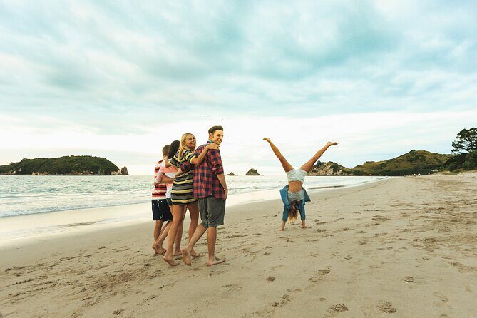 Private Tour - Coromandel Beach, Caves & Forest - Driving Creek Railway: kauri forest climbing and pottery views