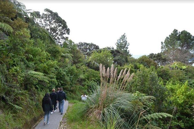 Private Tour - Coromandel Beach, Caves & Forest - Timing, pickup, and what to pack for a 12-hour private run
