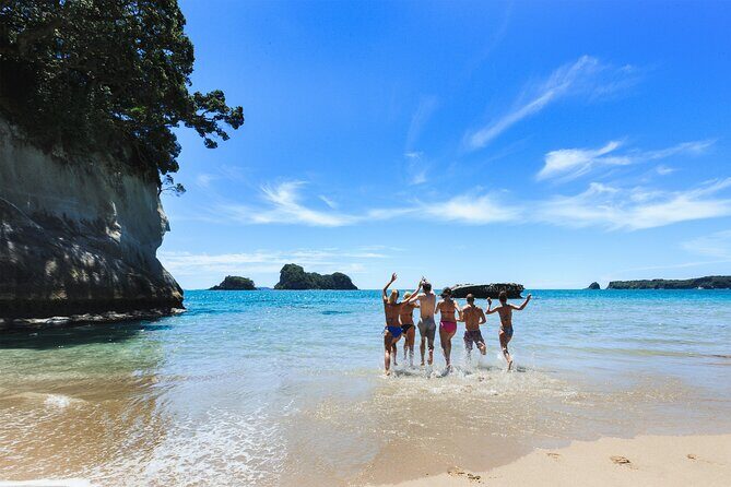Private Tour - Coromandel Beach, Caves & Forest - Should you book it? My straight answer