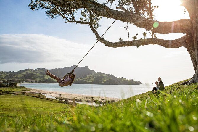 Private Tour - Coromandel Beach, Caves & Forest - Price and what you get for $589.54 per person