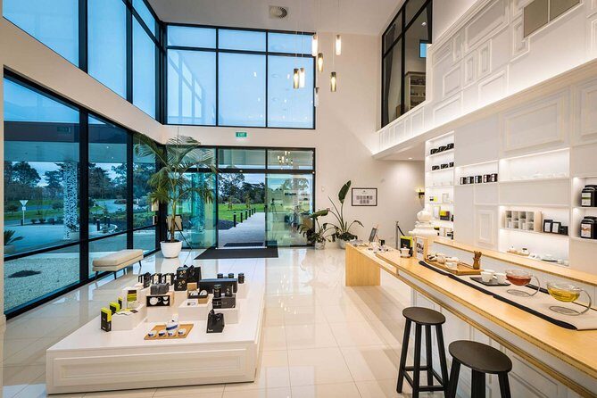Private tour from Auckland - Waitomo Glowworm Caves, Zealong Tea & Kiwi Bird - Zealong Tea Estate and tasting 100% organic tea