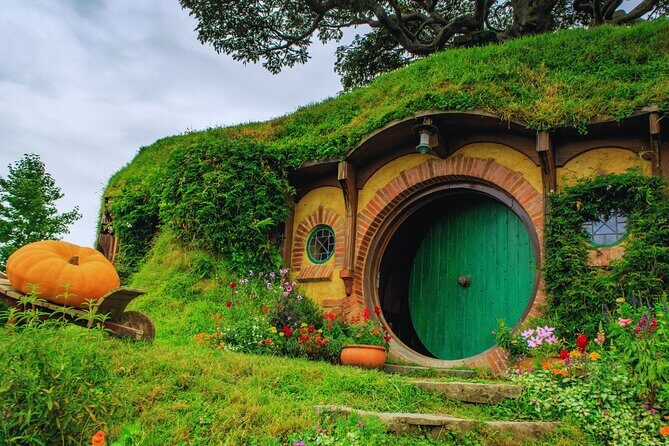 Private Tour: Hobbiton Movie Set, Rotorua Mud Pool & Treewalk - Food, comfort, and what you’ll feel on this long North Island loop