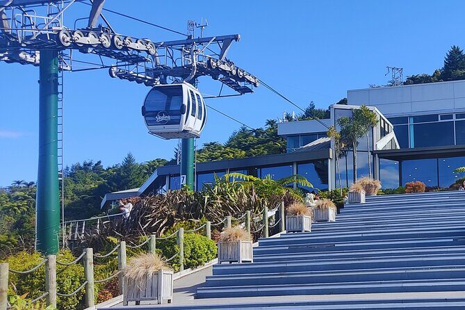 Private Tour: Hobbiton Movie Set, Rotorua Mud Pool & Treewalk - Who this Rotorua and Hobbiton private tour suits best