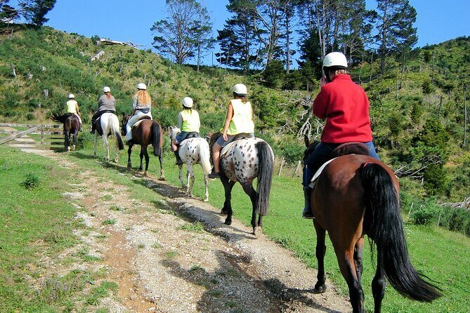 Private Tour - Horse Riding, Wine Tasting and Art Trail - Who should book this tour, and who may want to think twice