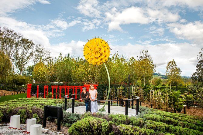 Private tour - Matakana Art & Wine Village - Key highlights at a glance