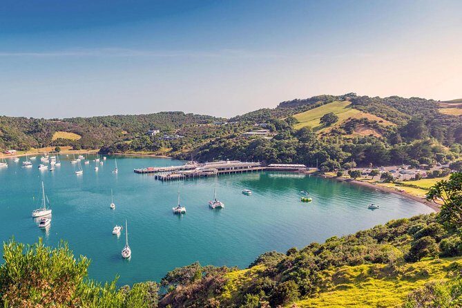 Private Tour - Waiheke Island Luxury Experience - Key things to know before you go