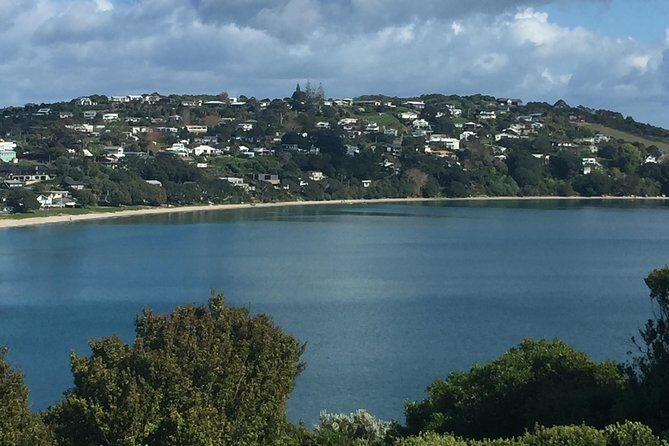 Private Tour - Waiheke Island Luxury Experience - Wine tastings: how to get more out of each vineyard stop