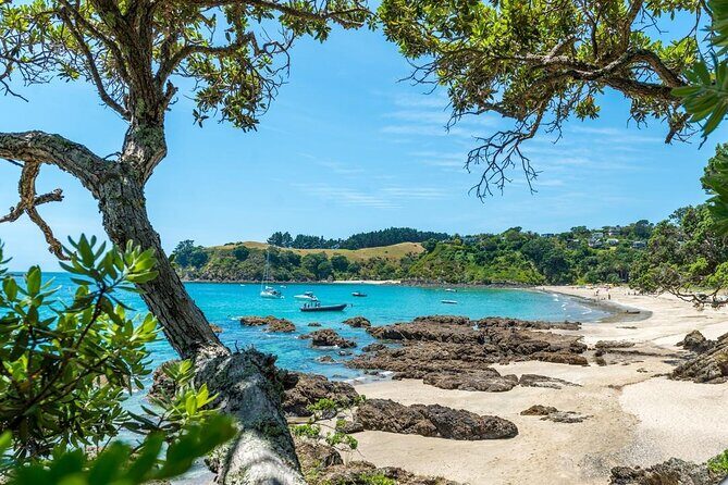 Private Tour - Waiheke Island Luxury Experience - Price and value: what $617.47 per person buys you