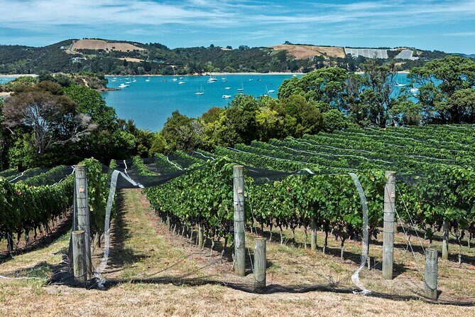 Private Tour - Waiheke Island Luxury Experience - Who this Waiheke luxury tour suits best
