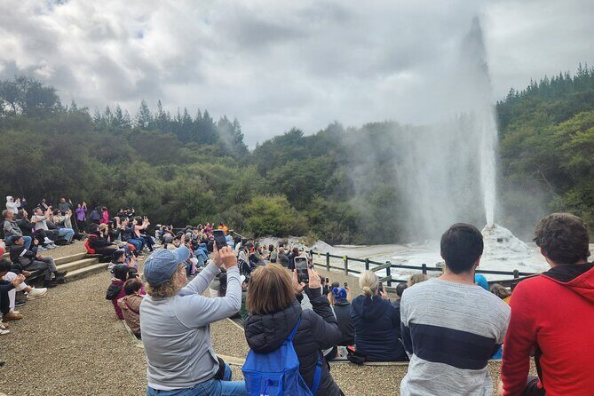 Private Tour WaiOtapu & Huka Falls & Blue springs from Auckland - Price and what $403.37 buys you