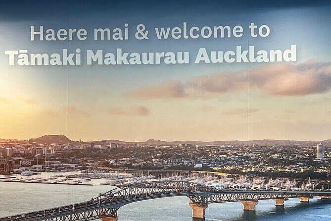 Private Transfer From Auckland Airport To Rotorua - The drive itself: comfort, safety, and real-life advice
