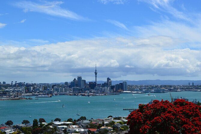 Private Transfer From Auckland Airport To Rotorua - Meal stops and kid-friendly timing during the transfer