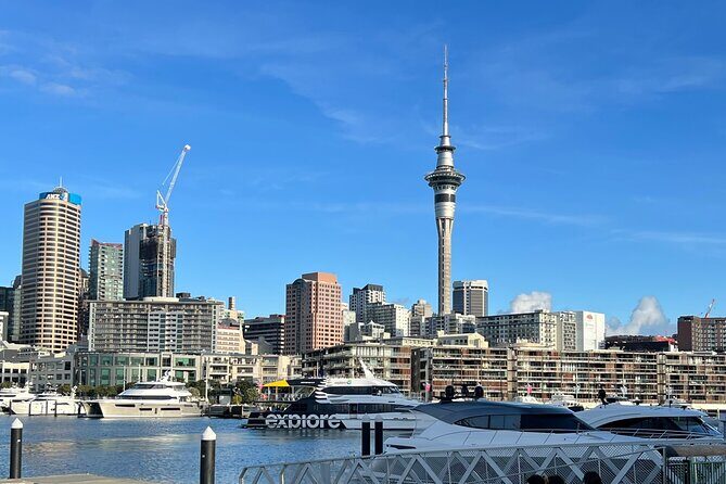 Private Transfer From Auckland Airport To Rotorua - Comfort and what you should bring (since WiFi and a restroom aren’t included)