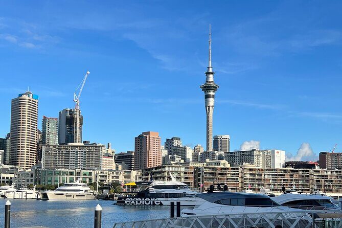 Private Transfer From Auckland City To Auckland Airport - A 30–45 Minute Door-to-Airport Ride that fits your flight