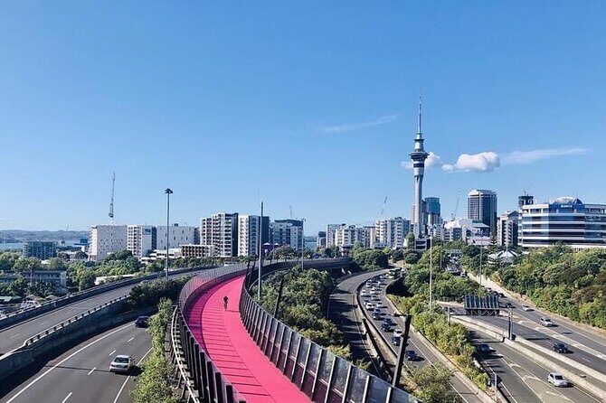Private Transfer From Auckland International Airport To Auckland City - Entering Auckland: getting picked up the easy way