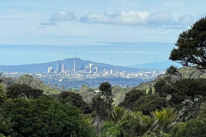 Private Transfer From Auckland International Airport To Auckland City - What makes this transfer feel dependable: communication and driver quality