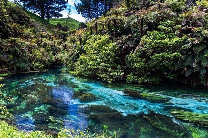 Redwood Forest , Blue Springs & Huka Falls Day Tour from Auckland - Pickup, vehicle comfort, and why the small group matters