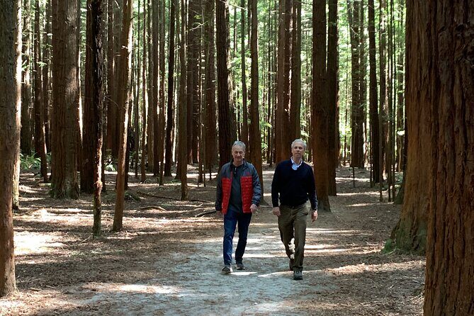 Redwood Forest , Blue Springs & Huka Falls Day Tour from Auckland - Huka Falls tracks: quick walking, huge sound