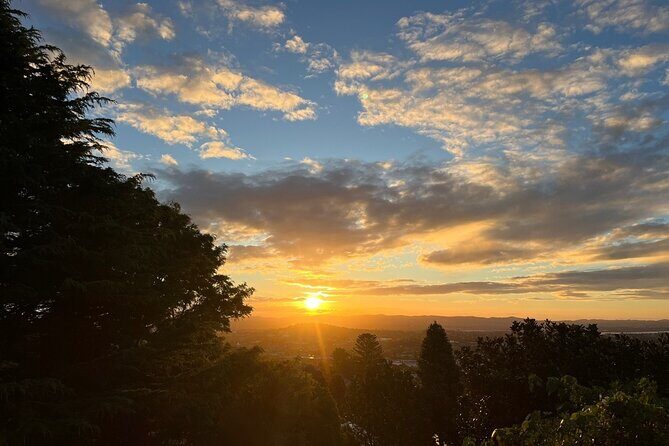 Romantic Auckland Sunset tour with Winery & Thermal pool - Palm Springs Hot Pool: where the evening turns slow and restorative
