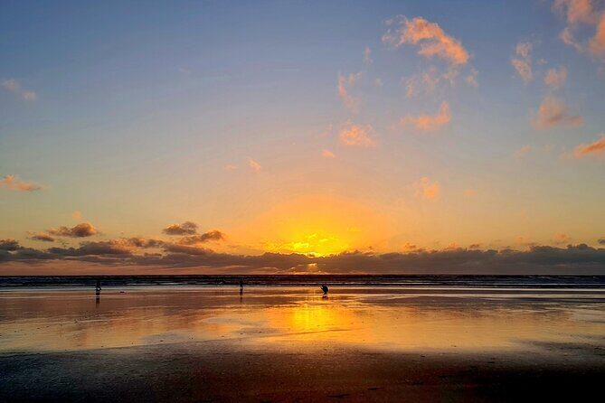 Romantic Auckland Sunset tour with Winery & Thermal pool - Muriwai Beach at sunset time: black sand drama, West Coast color