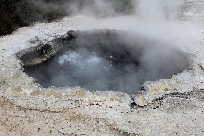 Rotorua and Waitomo Caves Day Trip from Auckland -Smaller Groups - Lunch at Te Puia: more than a rest stop