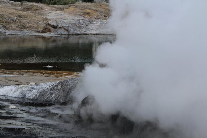 Rotorua and Waitomo Caves Day Trip from Auckland -Smaller Groups - Should you book the Rotorua and Waitomo small-group day trip?