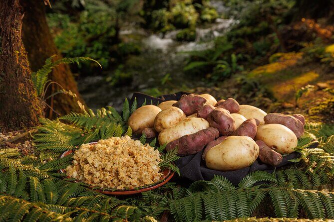 Rotorua Cultural & Geothermal Small Group Tour From Auckland - Value check: what you pay $294.77 for (and where it lands)