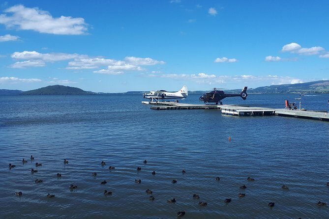 Rotorua Full Day Private Tour from Auckland - Price and value: what you’re paying for at $216.58 per person
