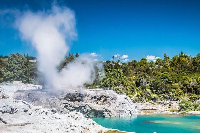 Rotorua Full Day Private Tour from Auckland - Te Puia at the Maori Arts and Crafts Institute: culture plus real guided time