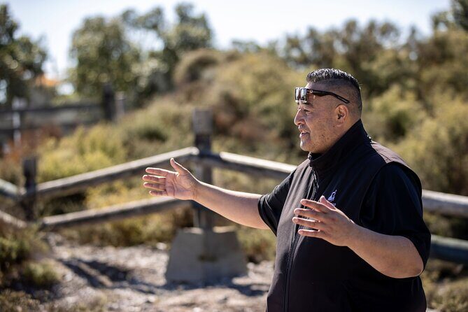 Rotorua Highlights inc. Waiotapu & Te Puia Day Tour from Auckland - Should You Book This Rotorua Highlights Tour?