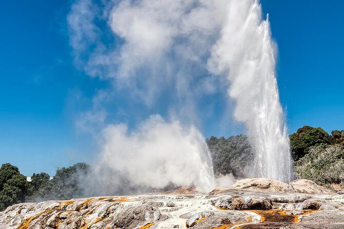 Rotorua Highlights Tour from Auckland with Optional Extras - Key points to know before you go