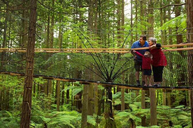 Rotorua Highlights Tour from Auckland with Optional Extras - Te Puia Māori Village: culture you can’t fake