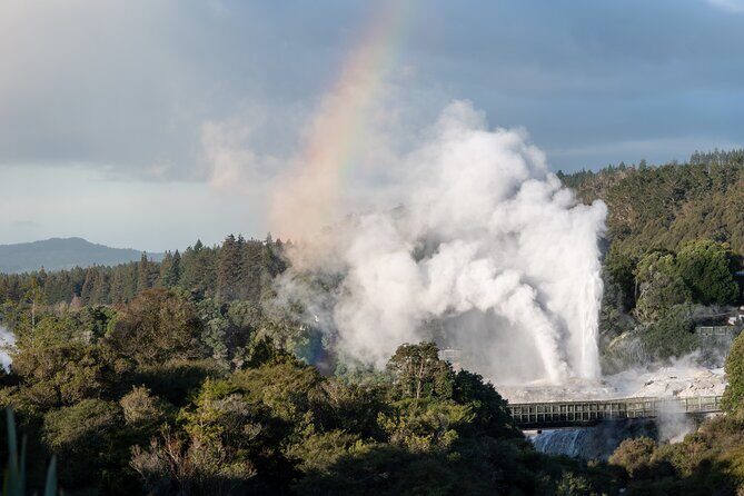 Rotorua Highlights Tour inc. Te Puia Tour, Lunch & Cultural Show - Lunch you’ll actually feel good about: hangi buffet + snacks