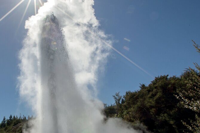Rotorua Māori Village and Activity Combinations from Auckland - Rotorua on your own: spas, Wai-O-Tapu, or the Redwoods Treewalk