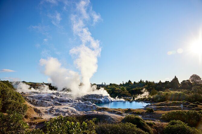 Rotorua Māori Village and Activity Combinations from Auckland - Transport, timing, and the small details that save your day