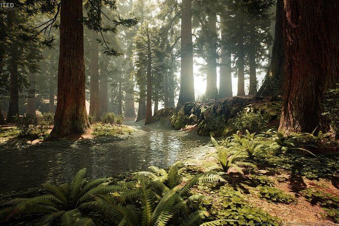 Rotorua Private tour with Hotspring - Redwoods (Whakarewarewa Forest) and the Jurassic World 2 factor