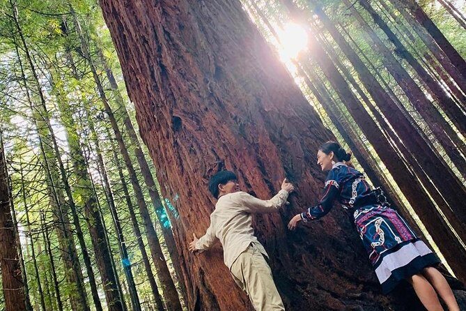 Rotorua Private tour with Hotspring - Lake Rotorua and Government Gardens: geothermal basics in two stops