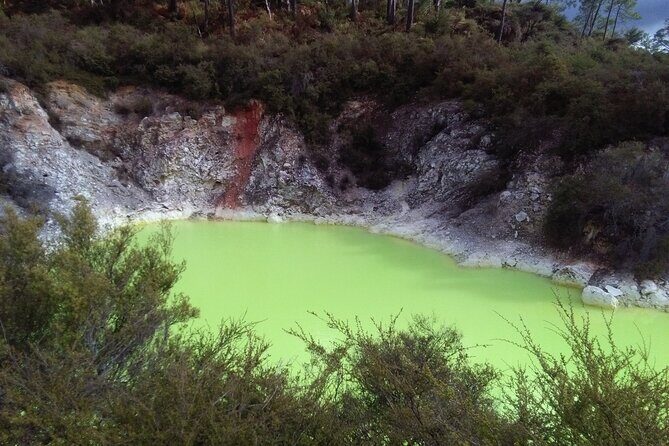 Rotorua Small-Group Day Tour from Auckland - Te Puia’s Geysers and Kiwi House: Where the Day Turns Most Memorable