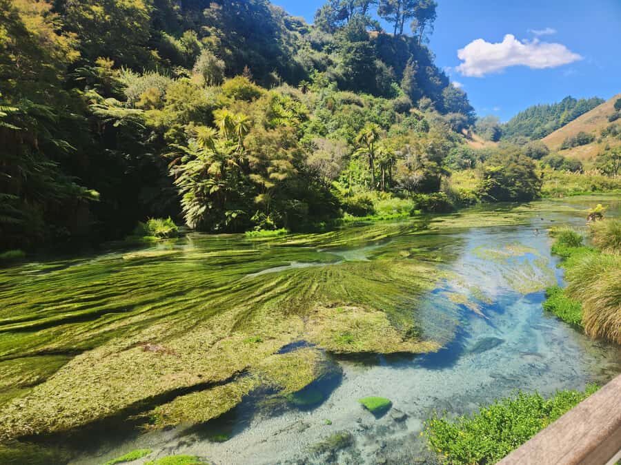 Rotorua & Taupo DayTour Waiotapu & Huka Falls from Auckland - Van Comfort, WiFi, and a Guide Who Gets the Details Right