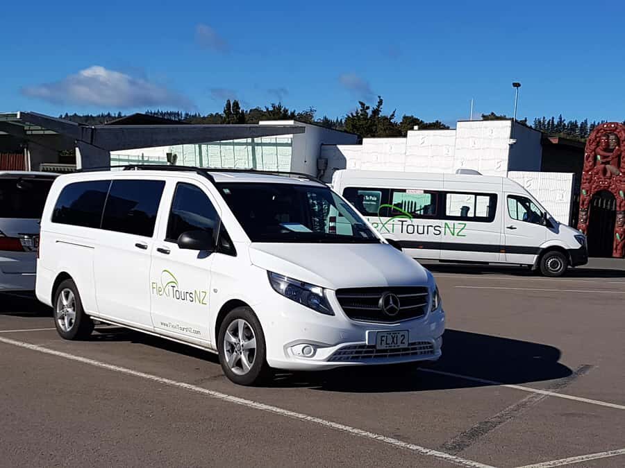 Rotorua to Auckland - Afternoon Transfer with Waitomo Caves - Key highlights that matter before you book