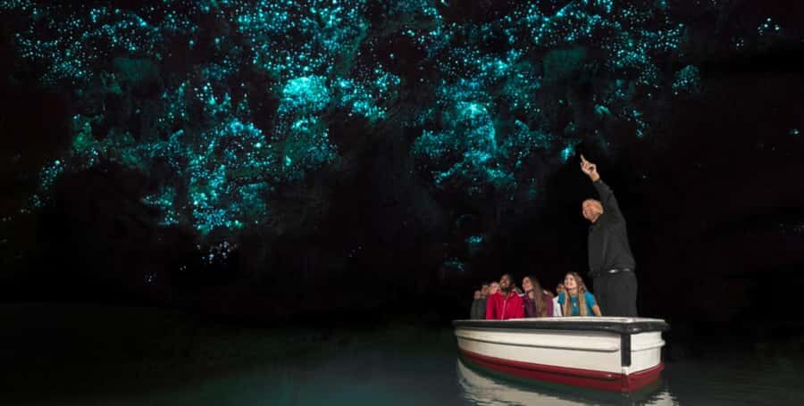 Rotorua to Auckland - Afternoon Transfer with Waitomo Caves - A smart way to connect Rotorua and Auckland via Waitomo